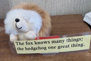 photo of hedgehog as mentioned in post